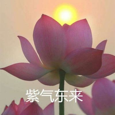 东成西就手游官方